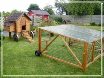 Передвижной курятник. Передвижной выгул.