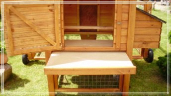 Мобильный курятник. Вид сзади.